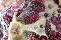 Pomegranate background. Macro of peeled ripe seeds. ripe juicy fruit in water