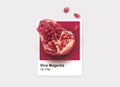 pomegranate on Card with viva magenta color on white background