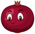 Pomegranate cartoon character with facial expression