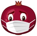 Pomegranate cartoon character with facial expression