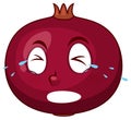 Pomegranate cartoon character with facial expression