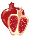 Pomegranate cartoon icon. Juicy red fruit cut