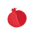 Pomegranate cartoon vector illustration