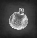 Pomegranate chalk sketch.