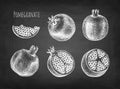 Pomegranate chalk sketch.