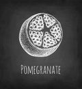 Pomegranate chalk sketch.