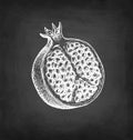 Pomegranate chalk sketch. Royalty Free Stock Photo