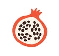 Pomegranate, cut half of fruit with seeds. Tropical garnet in doodle style. Raw food with peel and wedge, top view. Healthy