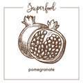 Pomegranate cut in half monochrome superfood sepia sketch