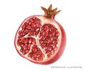 Watercolor illustration of halved pomegranate