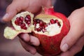 Pomegranate deseed Royalty Free Stock Photo
