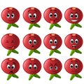 Pomegranate with different emoticons