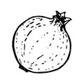 Pomegranate doodle drawing