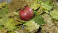 Pomegranate fall on a wooden table with yellow autumn leaves. Slow motion shot