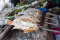 Pomegranate fish with salt and then burned for sales in the market. Thai style street food.