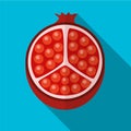 Pomegranate flat icon illustration