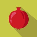 Pomegranate flat icon