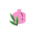 Pomegranate flat icon,