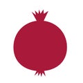 Pomegranate flat icon