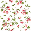 Pomegranate flower pattern