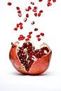 Pomegranate fruit