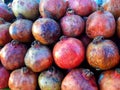 Fruit Pomegranate also known as anar in the Pakistan subcontinent Royalty Free Stock Photo