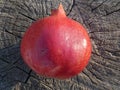 Pomegranate fruit autumn red berry wooden background