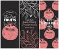 Pomegranate fruit banner set. Hand drawn vector fruit illustration. Engraved style vintage botanical background