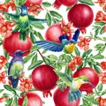 Pomegranate fruit, Flowers and birds hummingbird Watercolor botanical illustration. Seamless pattern Royalty Free Stock Photo