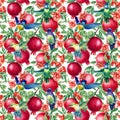 Pomegranate fruit, Flowers and birds hummingbird Watercolor botanical illustration. Seamless pattern Royalty Free Stock Photo