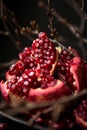 Pomegranate