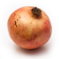 Pomegranate fruit , Punica granatum