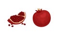 Pomegranate Fruit with Red-purple Husk with Inner, Spongy Mesocarp with Edible Seeds Vector Set