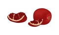 Pomegranate Fruit with Red-purple Husk with Inner, Spongy Mesocarp with Edible Seeds Vector Set