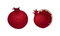 Pomegranate Fruit with Red-purple Husk with Inner, Spongy Mesocarp with Edible Seeds Vector Set