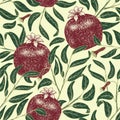 Pomegranate fruit vintage vector seamless pattern. Botanical fruit. Engraved pomegranate. Vector illustration Royalty Free Stock Photo