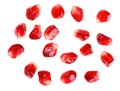 Pomegranate fruit seeds