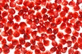 Pomegranate fruit seeds, macro background