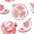 Pomegranate fruit vintage design template. Botanical fruit.