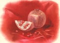 Pomegranate fruit watercolor