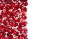 Pomegranate or garnet red seeds frame creative layout. Juice seeds garnet isolated on white Royalty Free Stock Photo
