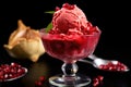 pomegranate gelato scooped humanely and served