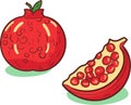 Pomegranate Hand drawn Vector. Pomegranate whole fruit and half sliced