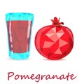 Pomegranate hand drown vector illustration isolated on white background. Low poly style