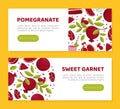 Pomegranate horizontal web banners set. Fresh organic juicy fruit landing page, mobile app design cartoon vector Royalty Free Stock Photo