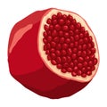 Pomegranate icon. Cartoon isolated summer garnet fruit. Advertising tropical ripe fruit. Vector illustration of healthy