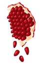 Pomegranate icon. Cartoon isolated summer garnet fruit with ruby seeds, cut slice. Advertising tropical ripe fruit