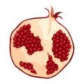 Pomegranate icon. Cartoon isolated summer garnet fruit with ruby seeds, cut slice. Advertising tropical ripe fruit