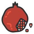 Pomegranate icon. Red ripe fresh fruit cut