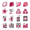 Pomegranate icon set